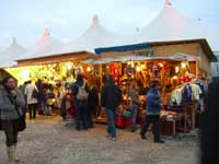 Munich Tollwood festival
