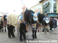 horses