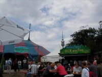 tollwood picture 1